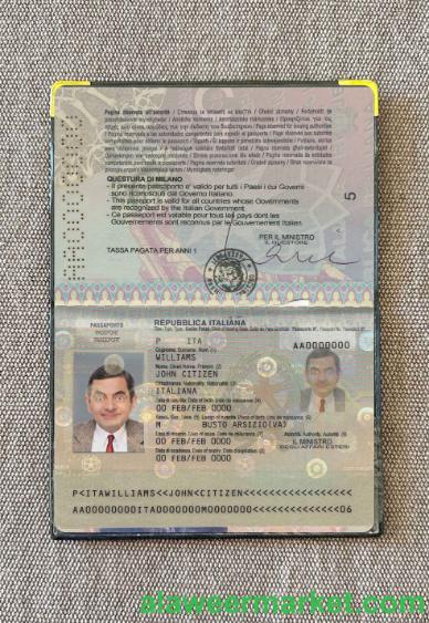 ITALY passport version 2 photo look